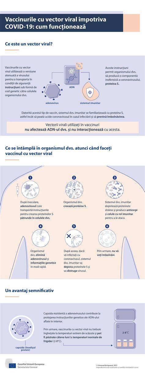 Infografic cioc non viral: cum se pregateste organismul pentru bebelus in sarcina