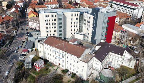 Hartă a relațiilor instituționale: UMF Timișoara, Clinica Neoped, Spitalul Louis Țurcanu