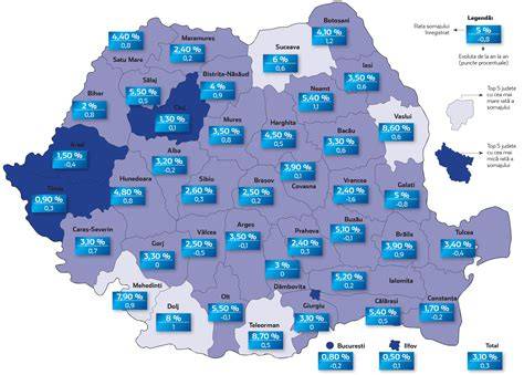 Infografic: Ciclu de acordare a indemnizaţiei de şomaj în România