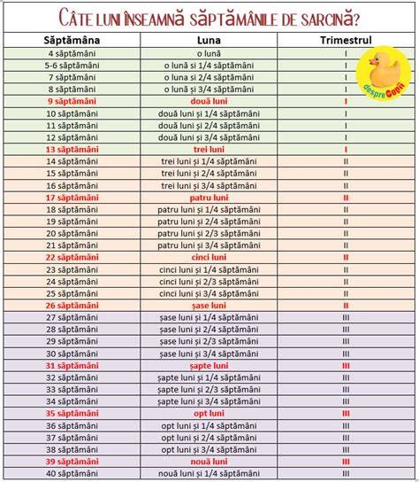 Infografica despre cum creste beta-HCG in sarcina si cum se interpreteaza primele saptamani
