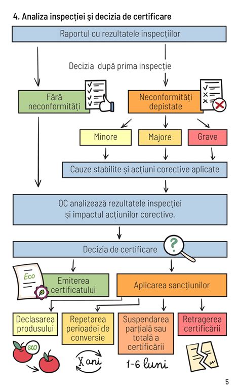 Infografic: procedura acordării ICC, condiții eligibilitate, perioade concediu