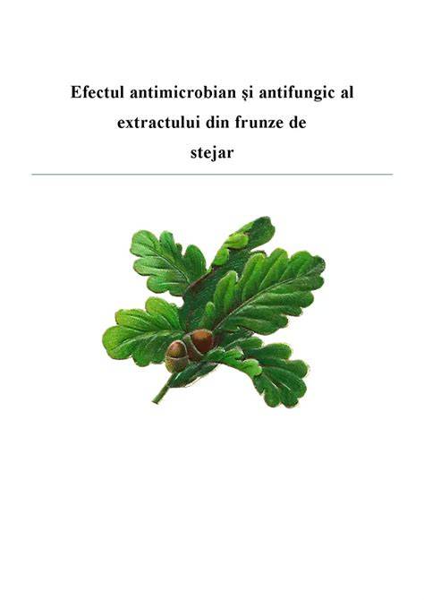 Infografic - Mecanismul acțiunii miconazolului asupra ergosterolului și efectul antifungic