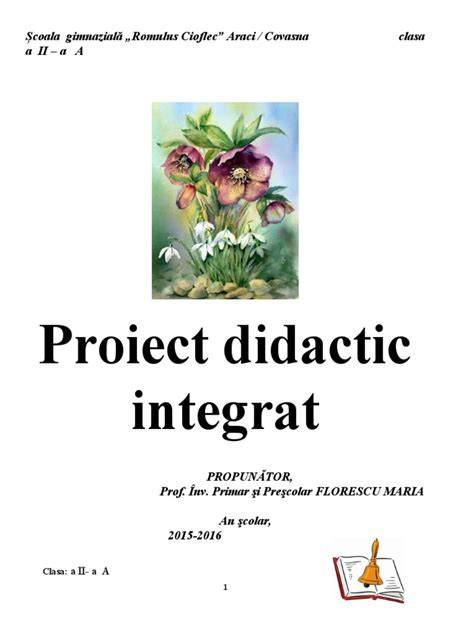 Schema de legături între domenii într-un proiect integrat