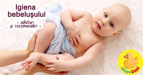 Checklist igiena si preventie pentru bebelus si caine