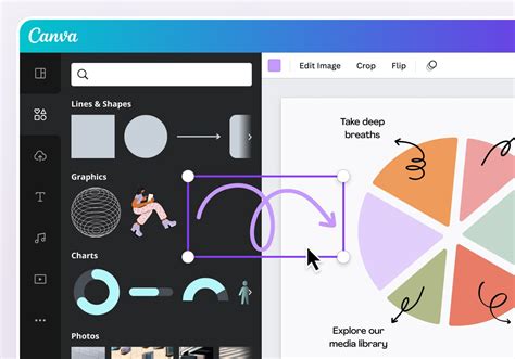 Diagrama de funcționare a steriletului