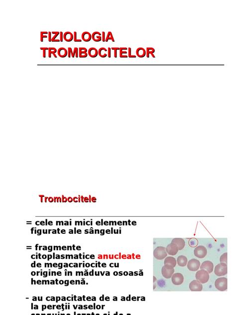 Structura trombocitelor