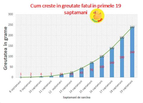 Diagrame crestere grasa fat in trimestrul II-III