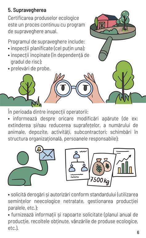 Infografic: Procedura prelevării Babeș-Papanicolau