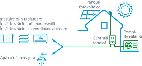 Infografic: cum funcționează neoprenul în apă, izolație termică și flotabilitate