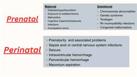 Infografic: fluxul monitorizării sarcinii (prenatal, perinatal, postnatal)