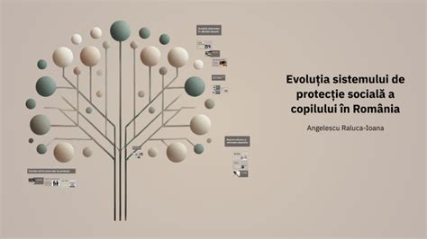 Schema organizatorică a sistemului de protecție a copilului