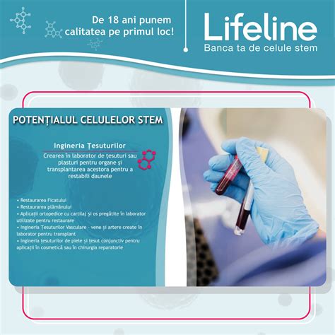 Laborator procesare celule stem