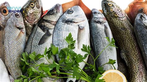 Pește gras bogat in Omega 3