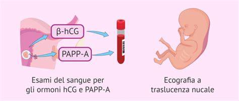 Infografic: Cronologia testelor prenatale si markerii PAPP-A, hCG, AFP, uE3
