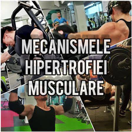 Infografice: Mecanismele hipertrofiei miometriale în sarcină