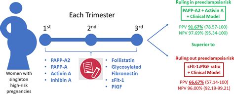 plgf-preeclampsie-grafic
