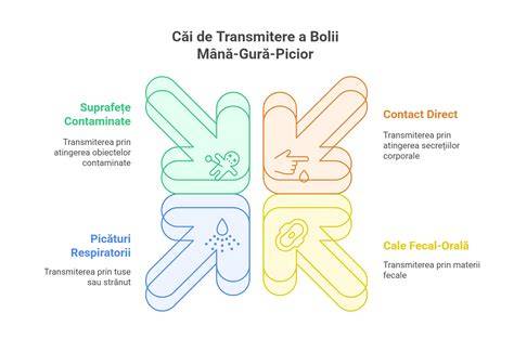 Infografic: Căi de transmitere a gastroenteritelor la copii și principiile de rehidratare