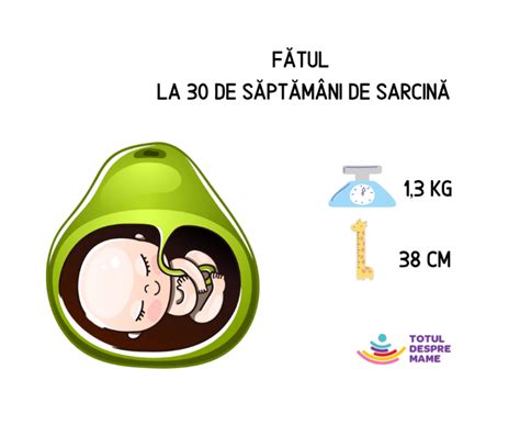 Poziția fătului în săptămâna 36 de sarcină