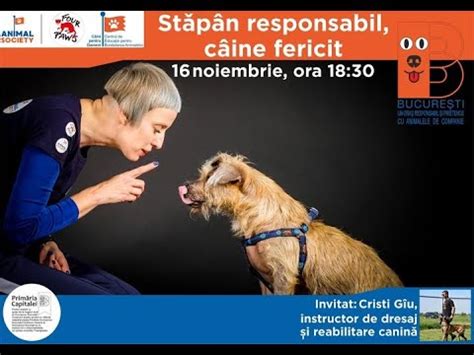 Câine fericit alături de stăpân