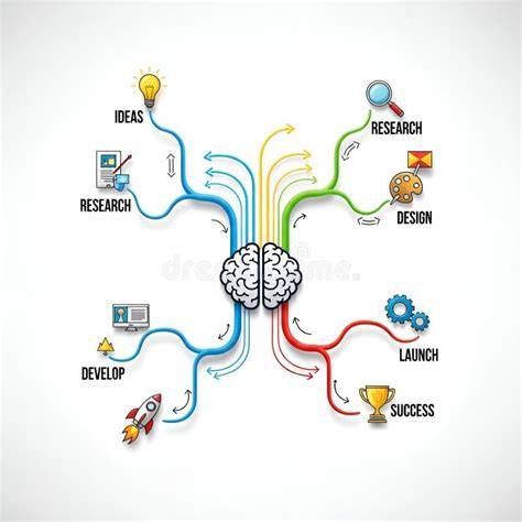 Diagramă: flux donare embrioni și etape etice