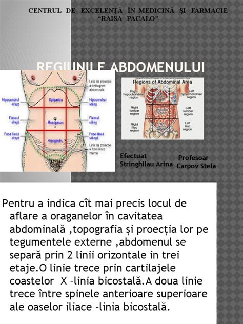 Illustrare: Regiunile abdomenului și localizarea epigastrică