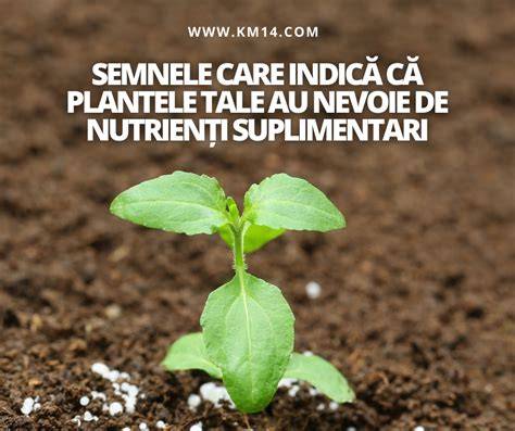 Infografic: componența sânului de nutrienți pentru spermă