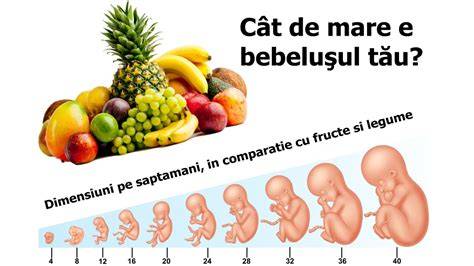 Ecografie care arată copilul la 40 cm