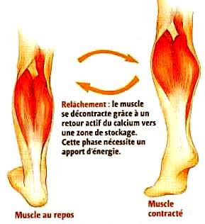 Schema expulziei: de la crampe la expulzie