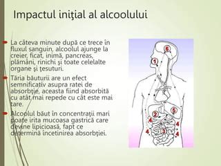 Infografie: Impactul alcoolului asupra fatului si reguli de alimentatie in sarcina