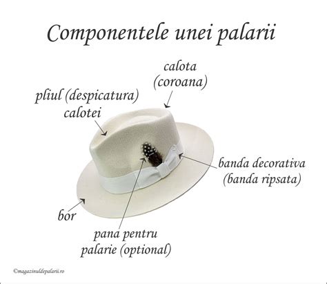 Infographic: Componentele unei ținute echilibrate pentru bebeluși