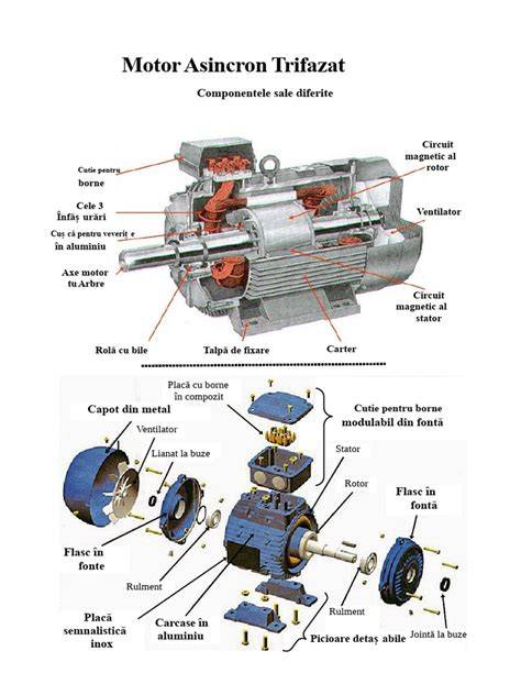 Infografic: Principiul câmpului magnetic rotativ într-un motor asincron trifazat