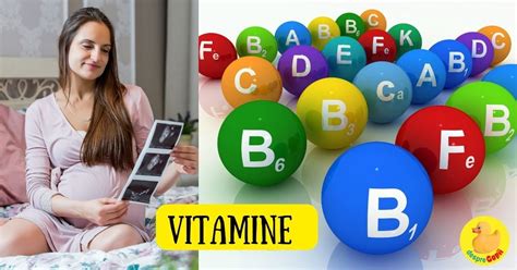 Schema: rolul vitaminelor prenatale în sarcină
