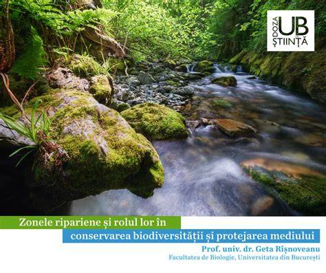 Infographic: Conceptul ecuatiei de continuitate si conservarea sarcinii