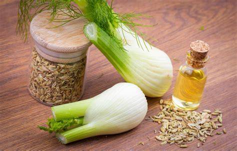 Informații despre fenicul: botanică, utilizări culinare și efecte asupra digestiei