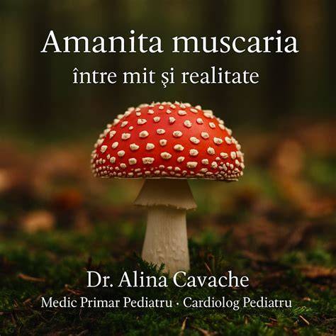 Grafice despre relația dintre mituri și realitatea științifică a sexului fetal