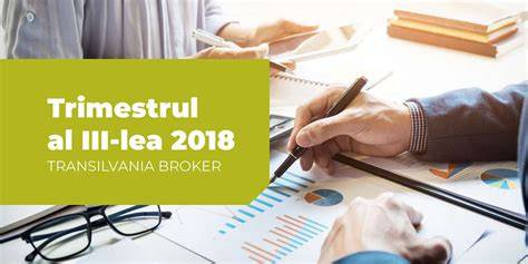Cronologie vizuală a evoluției burticii în trimestrul al III-lea