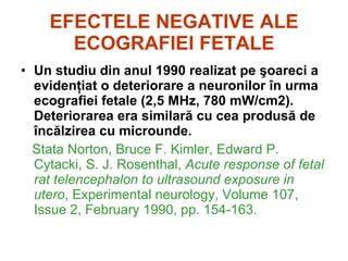 infografic-fazele-ecografiei-fetale