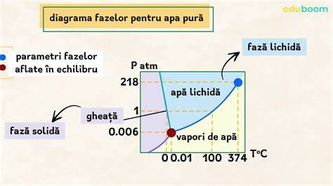 Diagrama fazelor morfologice ale embrionului: zigot, morulă, blastocist, ICM și trofectoderm