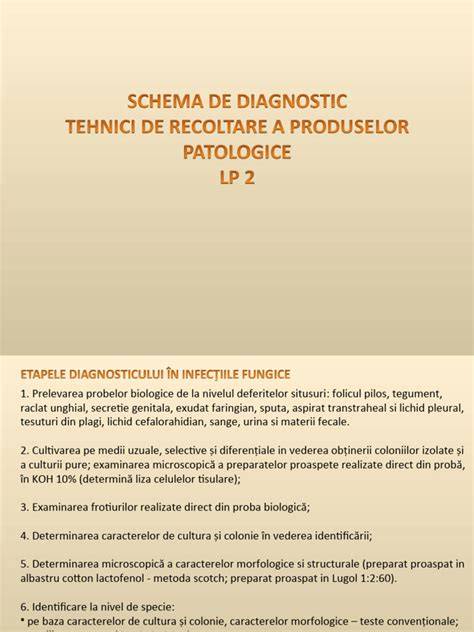 Schema flux de lucru: diagnostic, stimulare, recoltare, fertilizare, transfer, faza luteală
