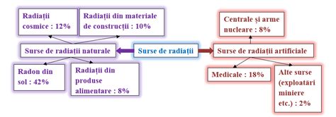 Infografic: structuri ale calcaiului si posibile surse de durere
