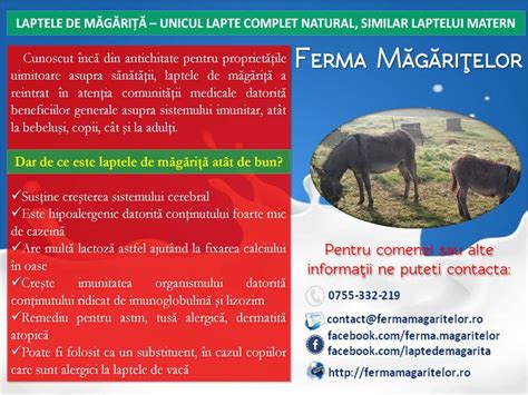 Infografic despre compoziția laptelui de magarita: proteine, calciu, lactoză, vitamine