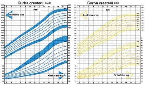 Diagrama cresterii fetale in intervalul sarcinii