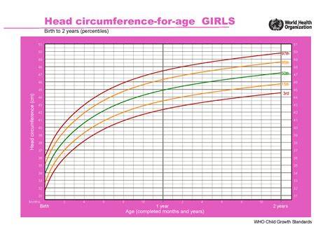 Diagrame de crestere fetala si interpretare percentila