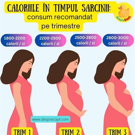 Chart cu recomandările zilnice de calorii pe trimestre