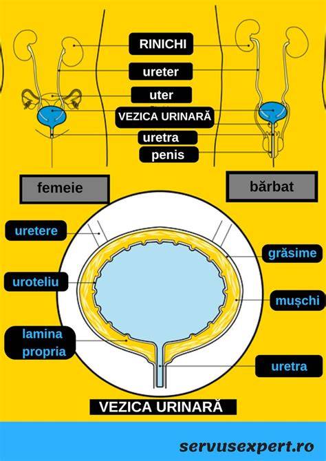Figura: harta posibilelor complicatii post-cezariana si semne de alarma