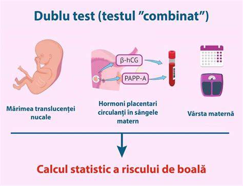 Infografic: Dublu Test - etape, markeri serici si NT