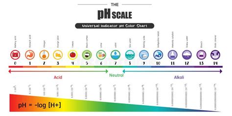 Schema scalei de pH