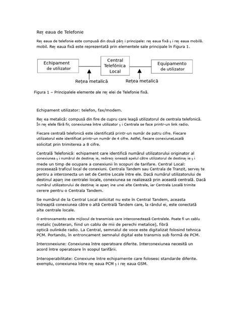 Diagrama rețelei de unități pediatrice din Botoșani, cu piese cheie puse în evidență