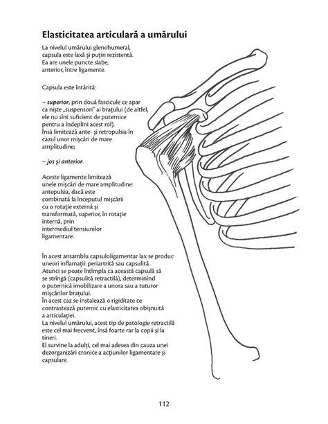 Schema mişcare panglică pentru torace şi braţe