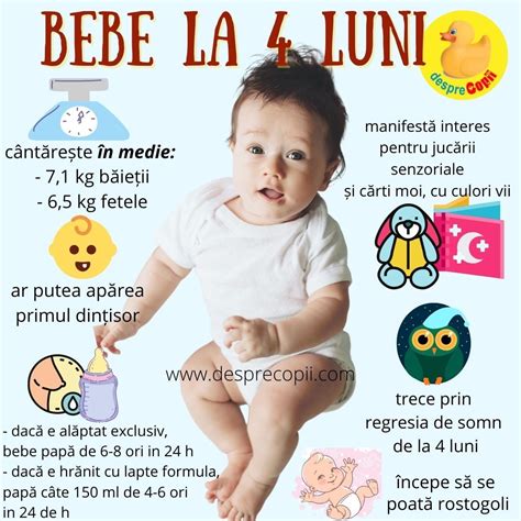 bebelus de 4 luni explorand jucarii